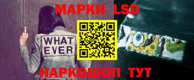 mdpv Краснознаменск