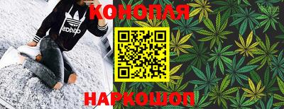 mdpv Краснознаменск