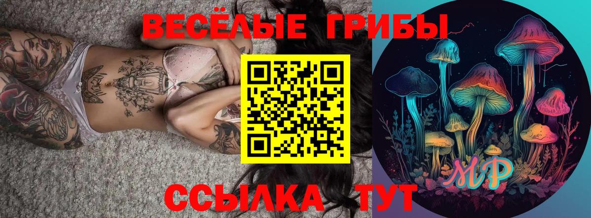 Псилоцибиновые грибы ЛСД Коммунар