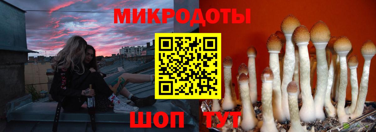 Коммунар  Галлюциногенные грибы Psilocybine cubensis  где купить наркоту  Вход с VPN  Псилоцибиновые грибы Psilocybine cubensis 